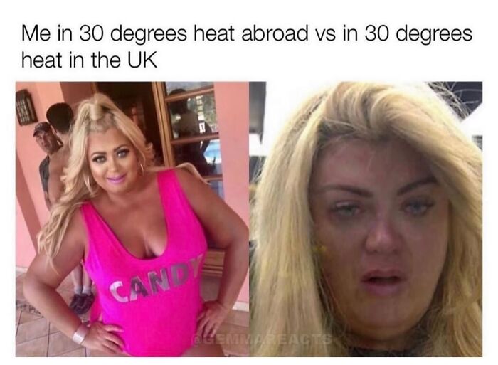 75 Funny Memes That Perfectly Sum Up Life In The UK