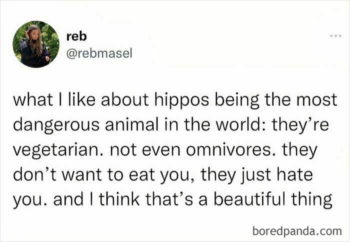 &#8220;High Five Expert&#8221;: 98 Funny Posts To Make You Smile