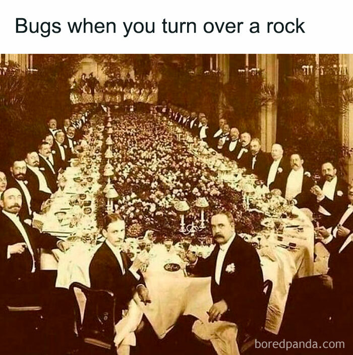 &#8220;High Five Expert&#8221;: 98 Funny Posts To Make You Smile
