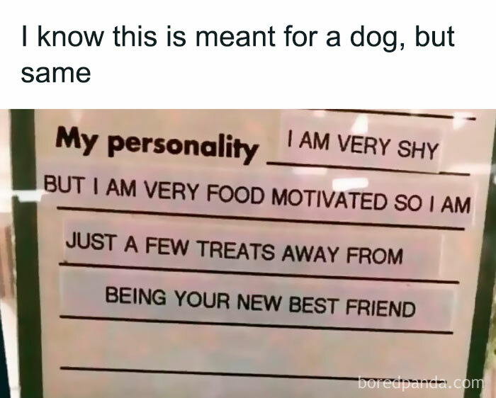&#8220;High Five Expert&#8221;: 98 Funny Posts To Make You Smile