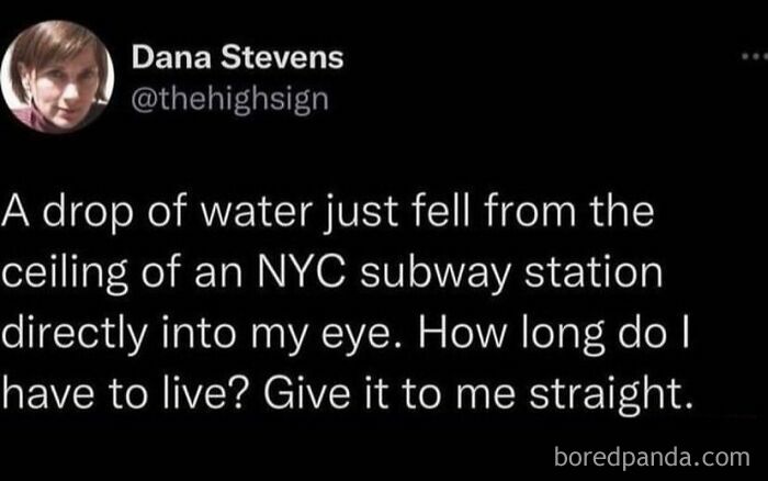 &#8220;High Five Expert&#8221;: 98 Funny Posts To Make You Smile