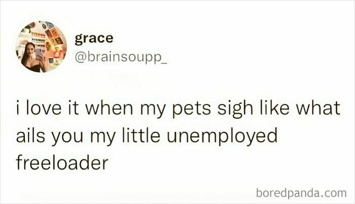 &#8220;High Five Expert&#8221;: 98 Funny Posts To Make You Smile