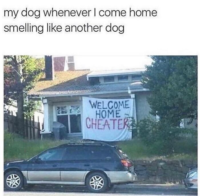 &#8220;High Five Expert&#8221;: 98 Funny Posts To Make You Smile
