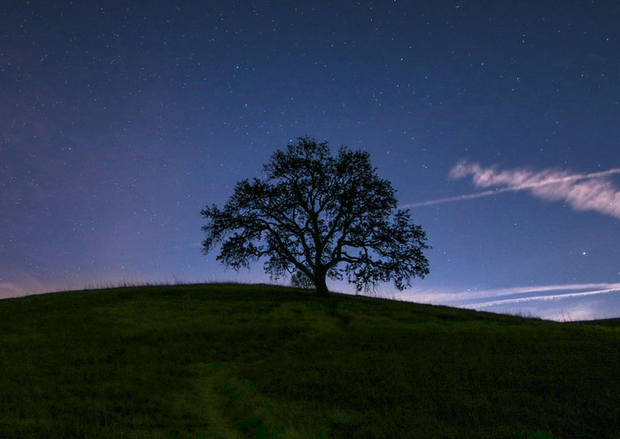 60 Times People Faced Unexplainable, Real-Life Horror Stories