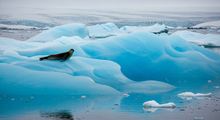 I Traveled To Antarctica And Took These 10 Shots To Show Its Surreal Beauty (10 Pics)