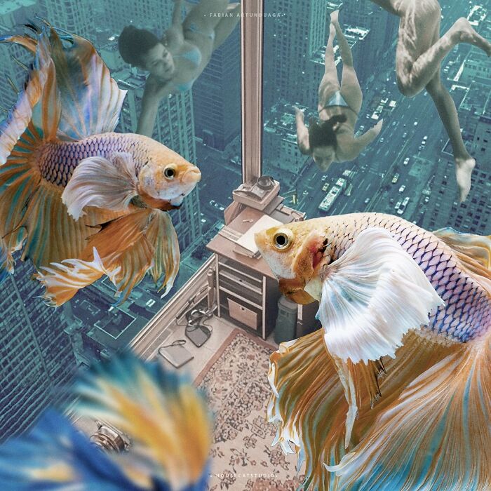 I Turned Random Thoughts Into Surreal Edits And Somehow Ended Up With These 35 Images