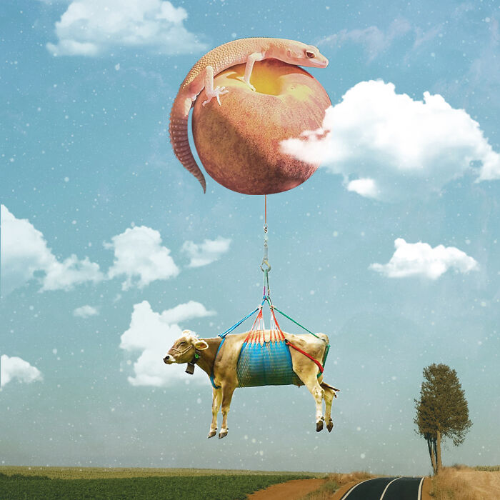 I Turned Random Thoughts Into Surreal Edits And Somehow Ended Up With These 35 Images