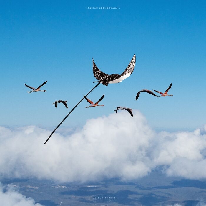 I Turned Random Thoughts Into Surreal Edits And Somehow Ended Up With These 35 Images