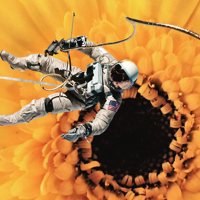 I Turned Random Thoughts Into Surreal Edits And Somehow Ended Up With These 35 Images