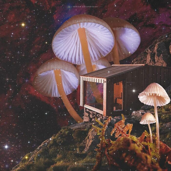 I Turned Random Thoughts Into Surreal Edits And Somehow Ended Up With These 35 Images