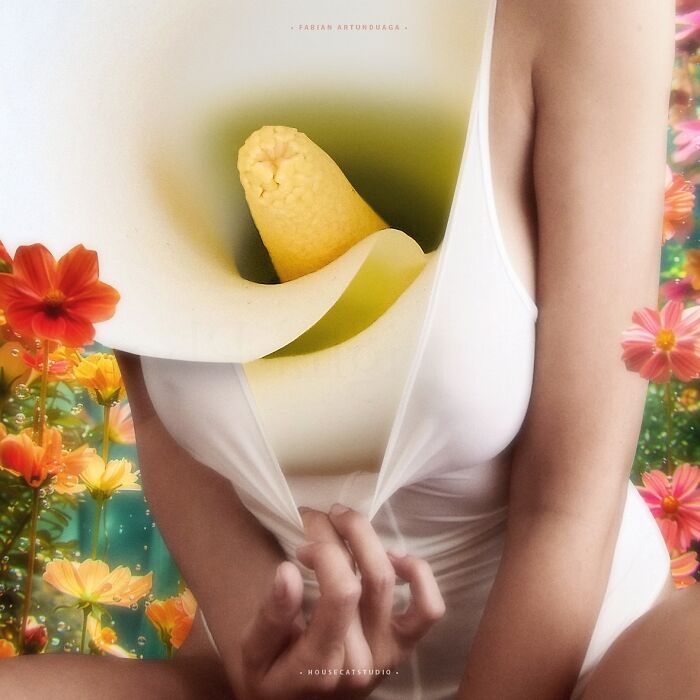 I Turned Random Thoughts Into Surreal Edits And Somehow Ended Up With These 35 Images