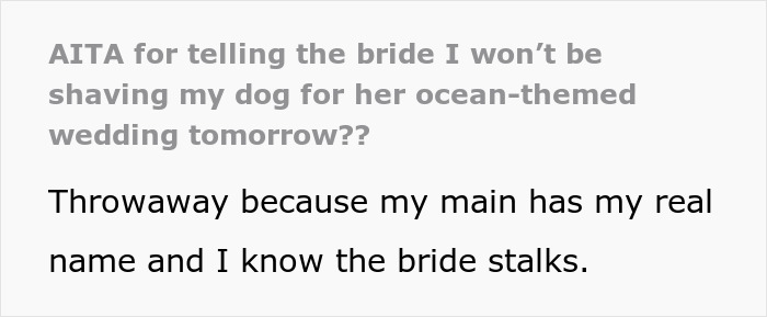 Bridesmaid Expected To Shave Her Dog For Bestie&#8217;s Wedding, Chooses To Be A No-Show Instead