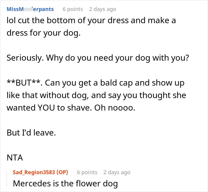 Bridesmaid Expected To Shave Her Dog For Bestie&#8217;s Wedding, Chooses To Be A No-Show Instead