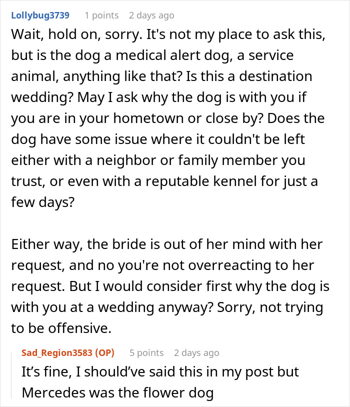 Bridesmaid Expected To Shave Her Dog For Bestie&#8217;s Wedding, Chooses To Be A No-Show Instead