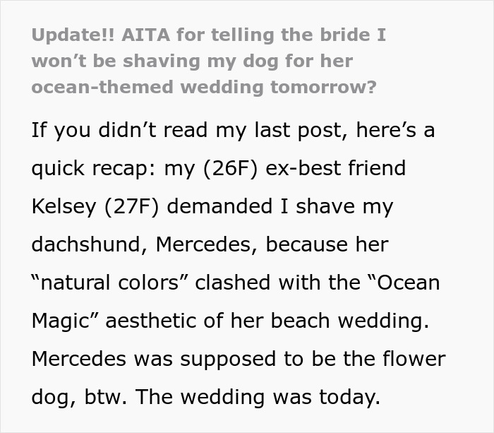 Bridesmaid Expected To Shave Her Dog For Bestie&#8217;s Wedding, Chooses To Be A No-Show Instead