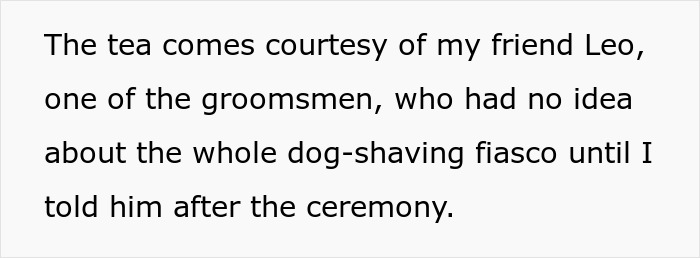 Bridesmaid Expected To Shave Her Dog For Bestie&#8217;s Wedding, Chooses To Be A No-Show Instead