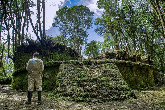 Archaeologists Make A Discovery Related To Ancient Peruvian Civilization, Researchers Are Stunned