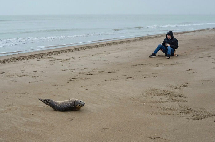 50 Funny Accidental Images That Were Taken At The Right Time And Place By This Street Photographer (New Pics)