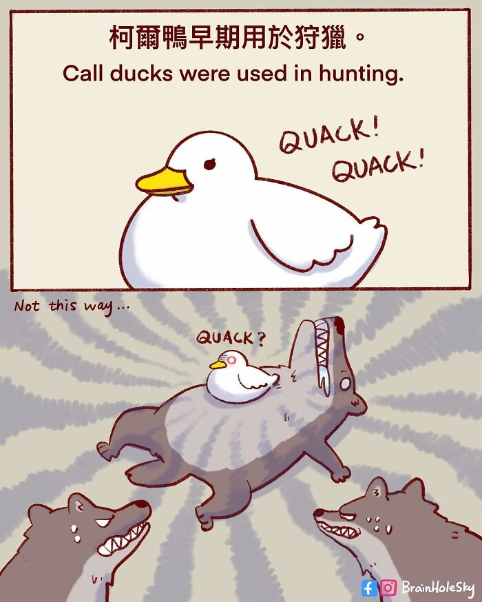 48 Funny Comics By BrainHoleSky That Feature All Kinds Of Cute Animals (New Pics)