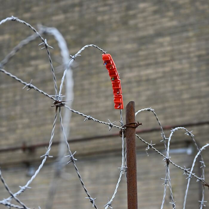 This Dutch Street Artist Surprises People With His Humorous And Subtle Take On Public Spaces (45 New Pics)