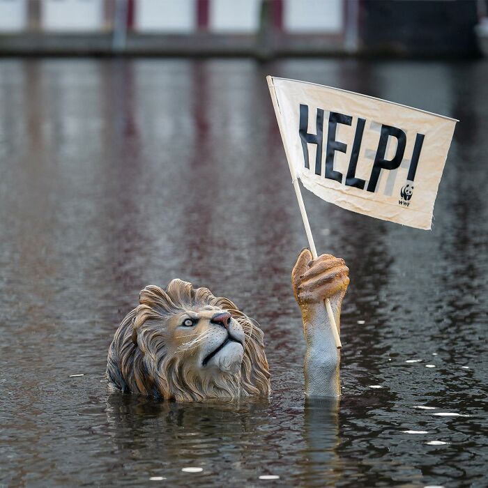 This Dutch Street Artist Surprises People With His Humorous And Subtle Take On Public Spaces (45 New Pics)