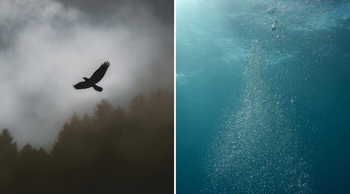 These 30 ‘Would You Rather’ Dilemmas Might Leave You Stuck &#8211; But You Have To Pick One