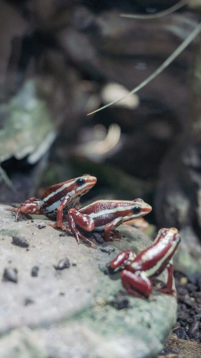 80 Delightfully Weird Facts About The World That People Learned This July