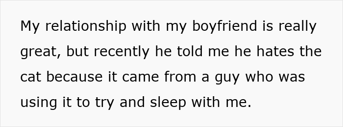 Controlling BF Wants Woman To Get Rid Of Her Cat, She Bails On The Relationship Instead