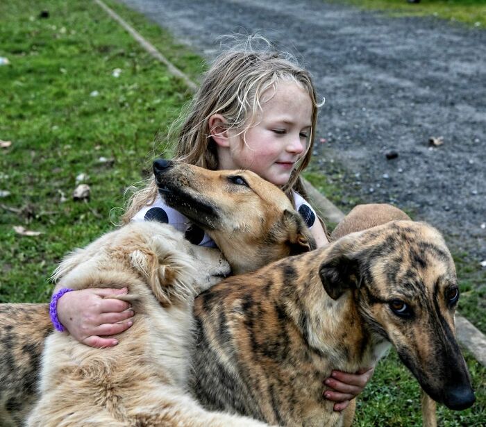 29 Heartfelt Photos Of Irish Traveller Kids Growing Up With Animals