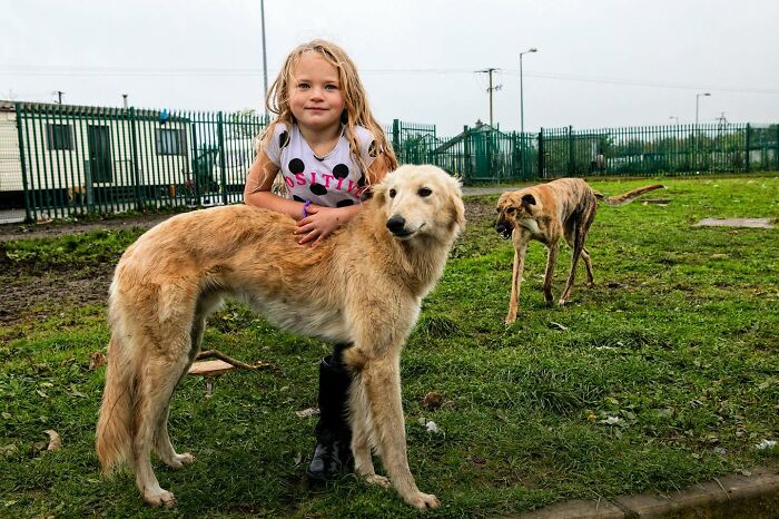 29 Heartfelt Photos Of Irish Traveller Kids Growing Up With Animals