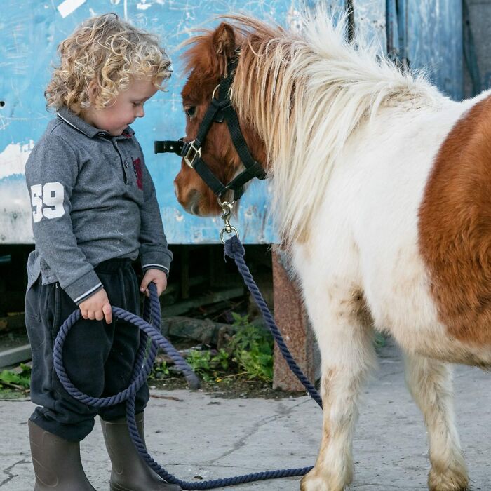 29 Heartfelt Photos Of Irish Traveller Kids Growing Up With Animals