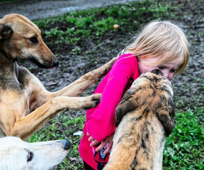 29 Heartfelt Photos Of Irish Traveller Kids Growing Up With Animals