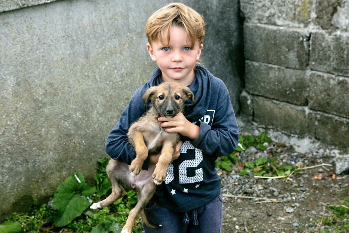 29 Heartfelt Photos Of Irish Traveller Kids Growing Up With Animals