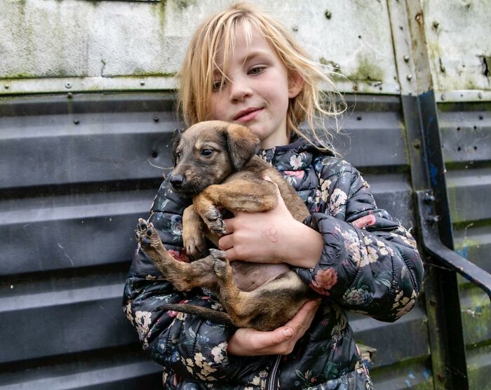 29 Heartfelt Photos Of Irish Traveller Kids Growing Up With Animals