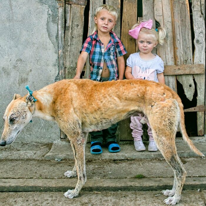 29 Heartfelt Photos Of Irish Traveller Kids Growing Up With Animals