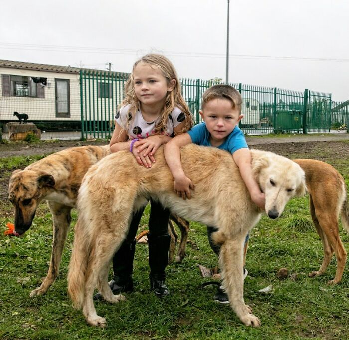 29 Heartfelt Photos Of Irish Traveller Kids Growing Up With Animals