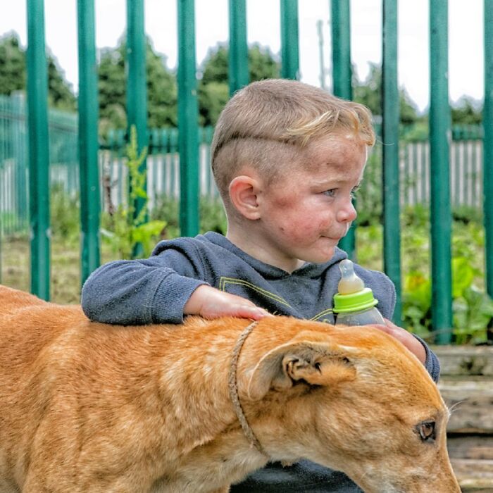 29 Heartfelt Photos Of Irish Traveller Kids Growing Up With Animals