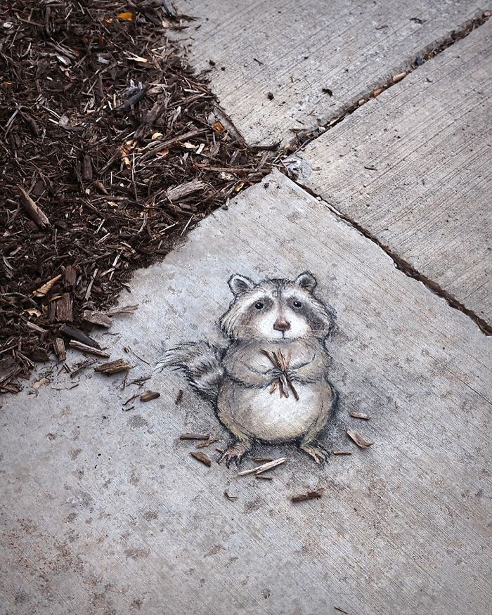 62 Doodled Creatures That Popped Up In Unexpected Places, By David Zinn (New Pics)