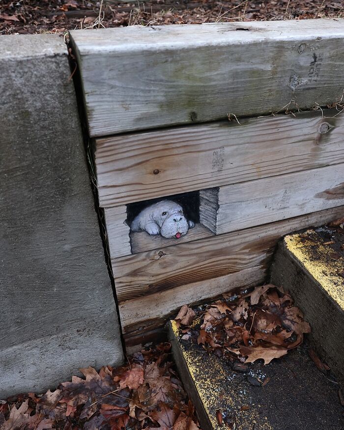 62 Doodled Creatures That Popped Up In Unexpected Places, By David Zinn (New Pics)