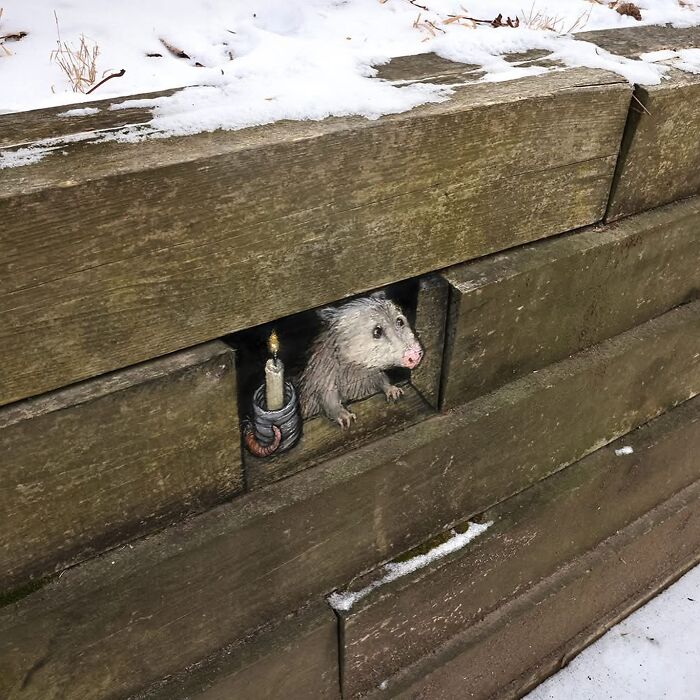 62 Doodled Creatures That Popped Up In Unexpected Places, By David Zinn (New Pics)