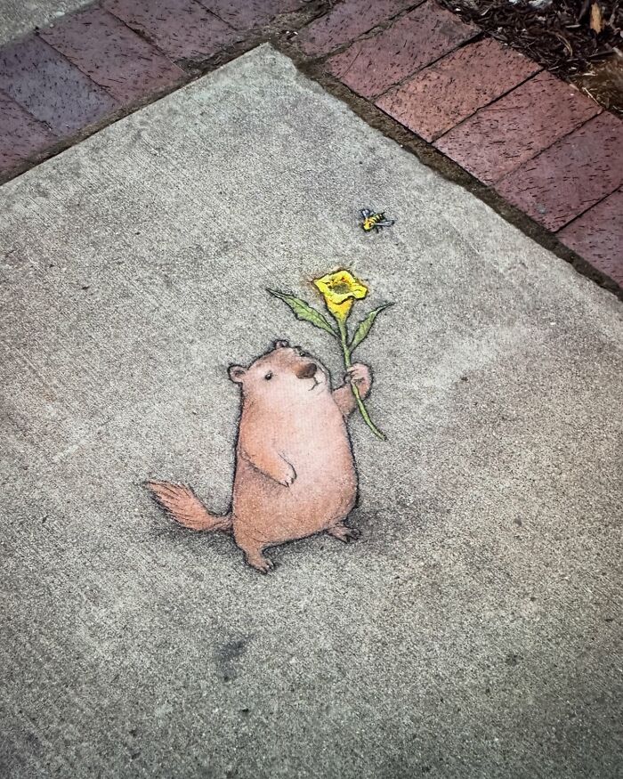 62 Doodled Creatures That Popped Up In Unexpected Places, By David Zinn (New Pics)