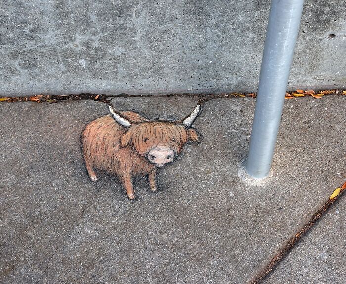 62 Doodled Creatures That Popped Up In Unexpected Places, By David Zinn (New Pics)
