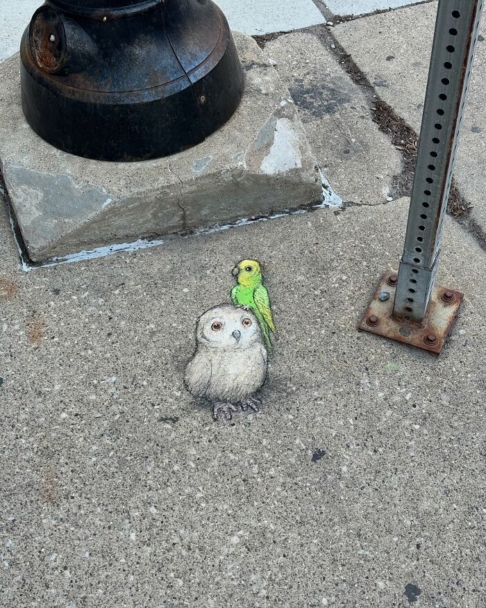 62 Doodled Creatures That Popped Up In Unexpected Places, By David Zinn (New Pics)