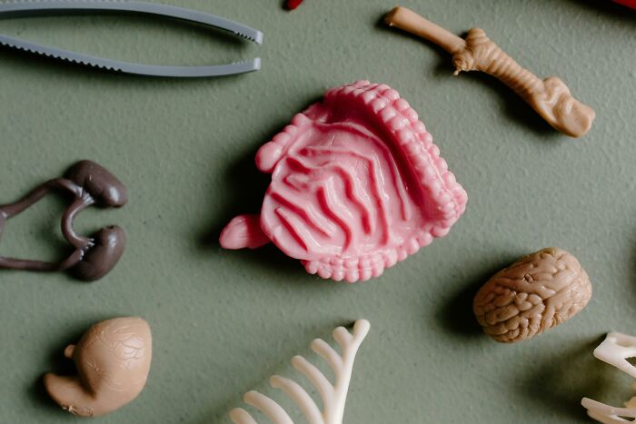 From Surprising To Disturbing, Here Are 27 Ways That A Cadaver Is Used For Science
