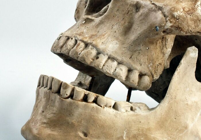 From Surprising To Disturbing, Here Are 27 Ways That A Cadaver Is Used For Science