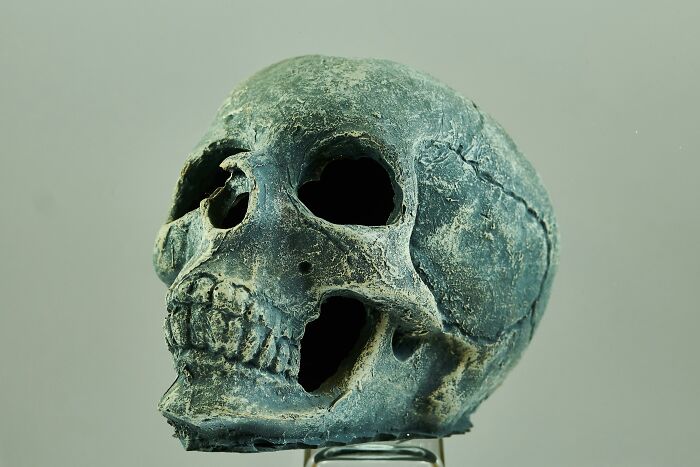 From Surprising To Disturbing, Here Are 27 Ways That A Cadaver Is Used For Science