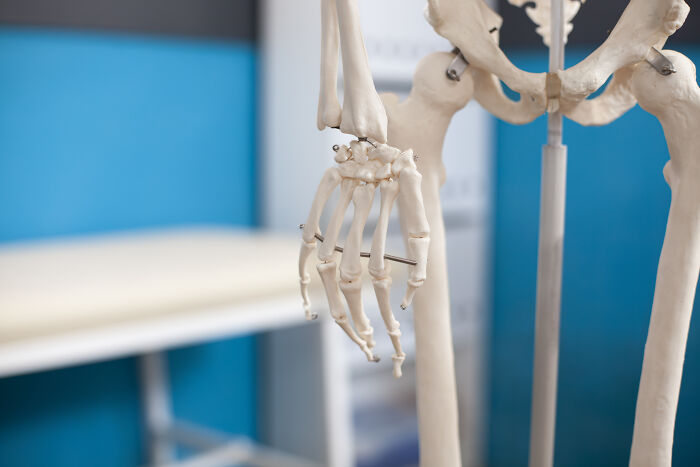 From Surprising To Disturbing, Here Are 27 Ways That A Cadaver Is Used For Science
