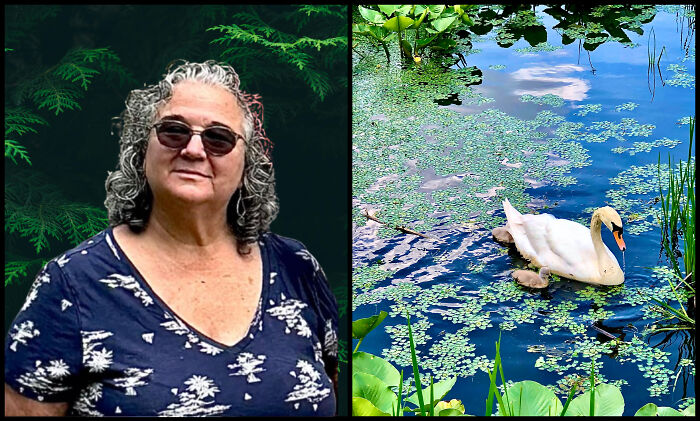 The Visual Poetry Of Nature Seen Through Ilene’s Lens