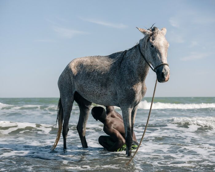 The 2025 Refocus Awards Just Revealed The Best Color Photography, And It’s Breathtaking (50 Pics)
