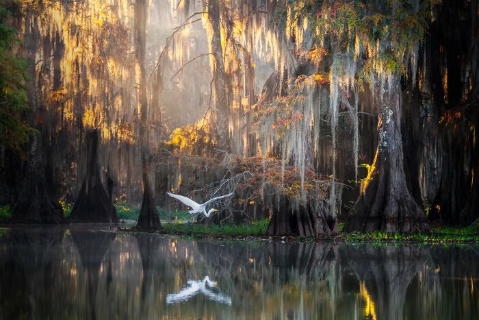 The 2025 Refocus Awards Just Revealed The Best Color Photography, And It’s Breathtaking (50 Pics)